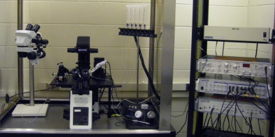 Electrophysiology setup