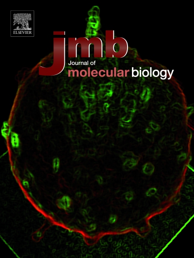 Cover JMB-D-15-0051 copy