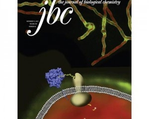 An image of the cover of JBC.