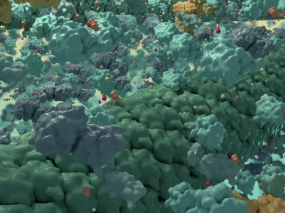 A still image from a 3D animation depicting the molecular context and environment for kinetic phenomena.